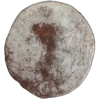 Coin reverse image