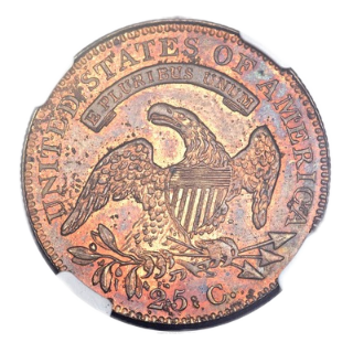 Coin reverse image