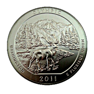 Coin reverse image