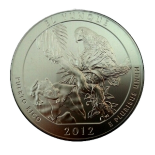 Coin reverse image