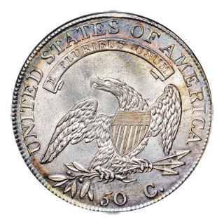 Coin reverse image