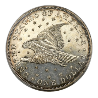 Coin reverse image