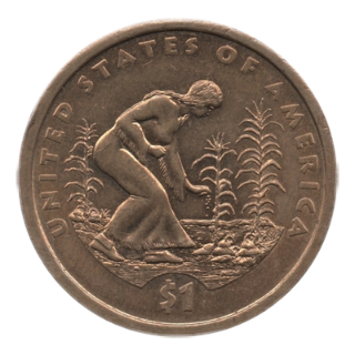 Coin reverse image