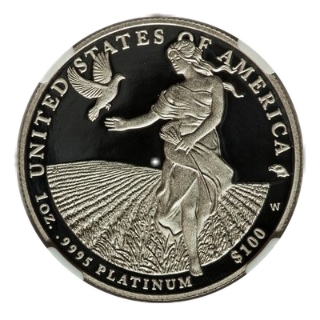 Coin reverse image