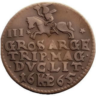 Coin reverse image