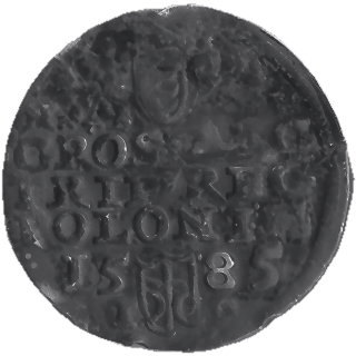Coin reverse image