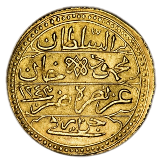 Coin reverse image