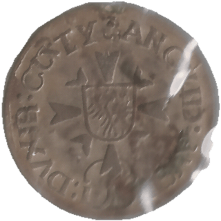 Coin reverse image
