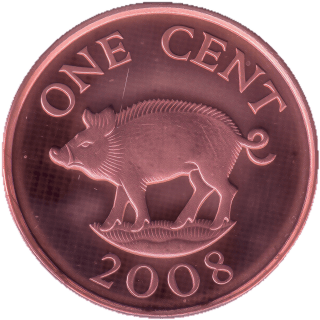 Coin reverse image
