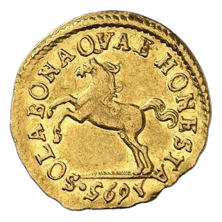 Coin reverse image