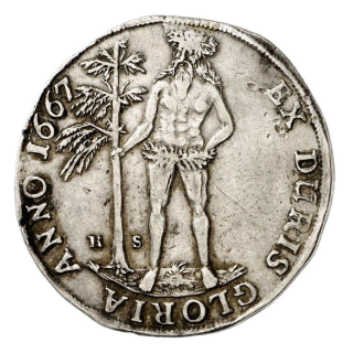 Coin reverse image