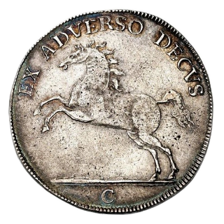 Coin reverse image