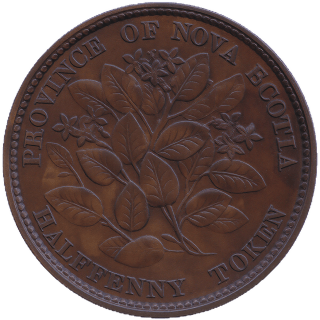 Coin reverse image