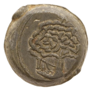 Coin reverse image