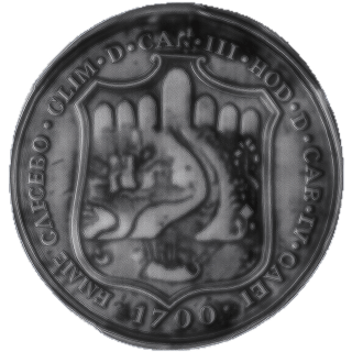 Coin reverse image