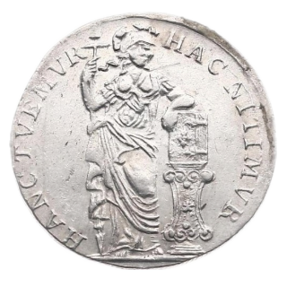 Coin reverse image