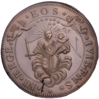 Coin reverse image